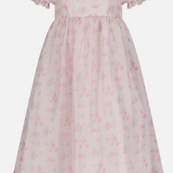 JessaKae Medium Floral pink dress. Ballet, fully lined - Picture 8 of 11